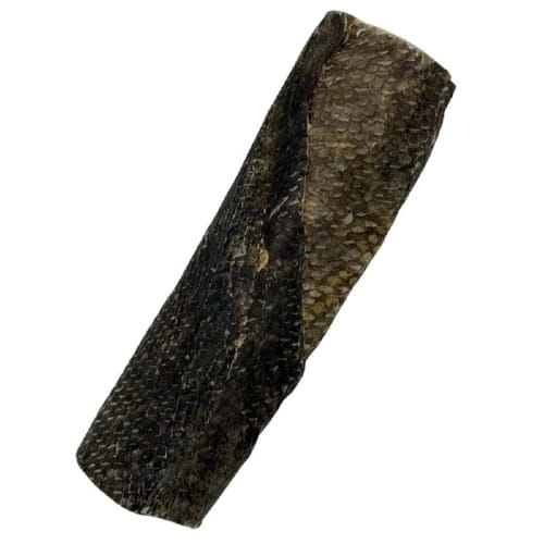 Sanadog Cod Stick pałeczka z dorsza w skórze dorsza — zbliżenie na przekrój filet z dorsza w środku gryzak dla psa.jpeg