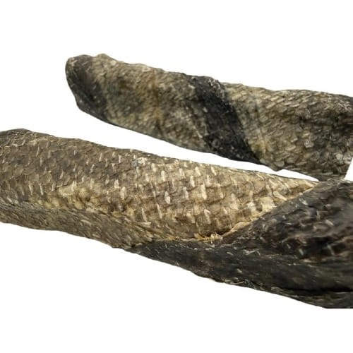 Sanadog Cod Stick — zbliżenie na łuskowatą strukturę skóry dorsza gryzak dentystyczny dla psa.jpeg