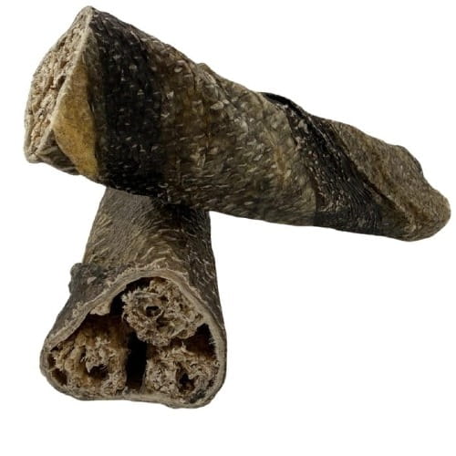 Sanadog Cod Stick pałeczka z dorsza w skórze dorsza gryzak dla psa 2 szt ok 12 cm — widok z przodu łuskowata skóra.jpeg