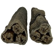 Sanadog Cod Stick pałeczka z dorsza w skórze dorsza — zbliżenie na przekrój filet z dorsza w środku gryzak dla psa 2 szt.jpeg
