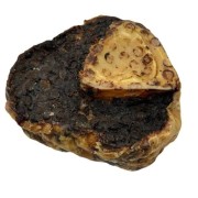 Paul &amp; Paulina plaster goleni wołowej suszony powietrzem gryzak naturalny pies szpik zbliżenie