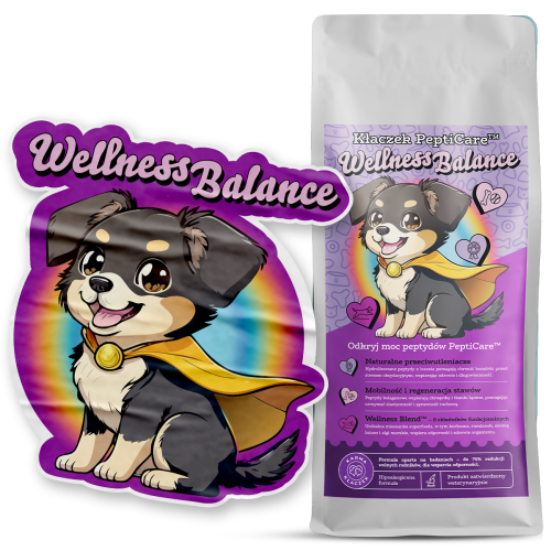 karma dla psa na odporność próbka 100 g Wellness Balance test energii i zdrowia