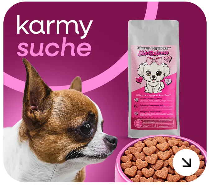 Czystakarma karmy suche dla psa sucha karma premium karma naturalna