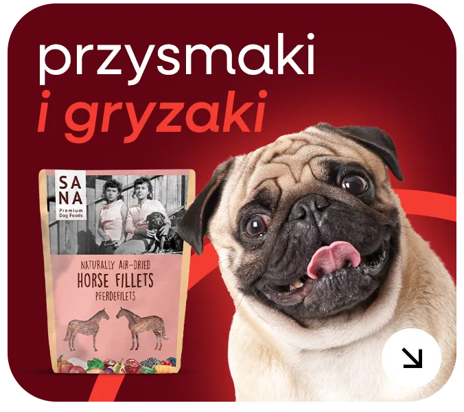czystakarma.pl przysmaki i gryzaki dla psa przysmak dla psa gryzak dla psa