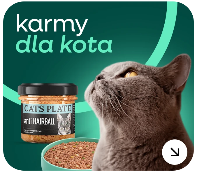 czystakarma.pl karma dla kota karmy dla kota kotki kotek karma dla kotka