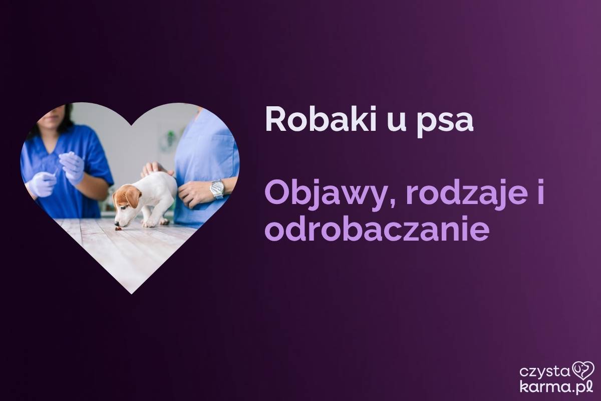 Pies u weterynarza, w tle preparat na odrobaczanie
