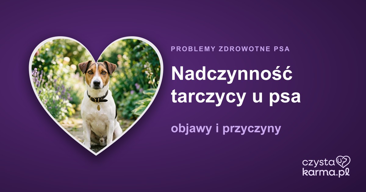 Nadczynność tarczycy u psa — objawy i przyczyny