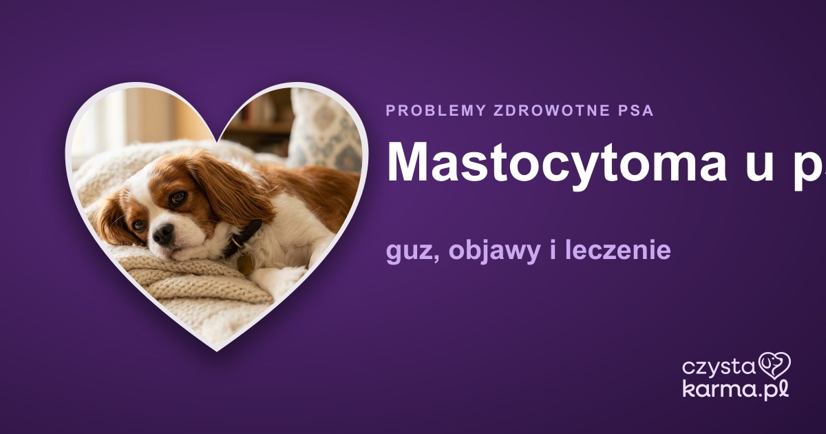 Mastocytoma u psa — guz, objawy i leczenie