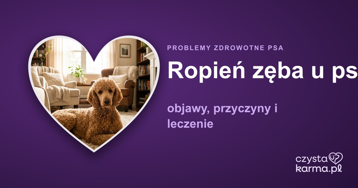 Ropień zęba u psa — objawy, przyczyny i leczenie