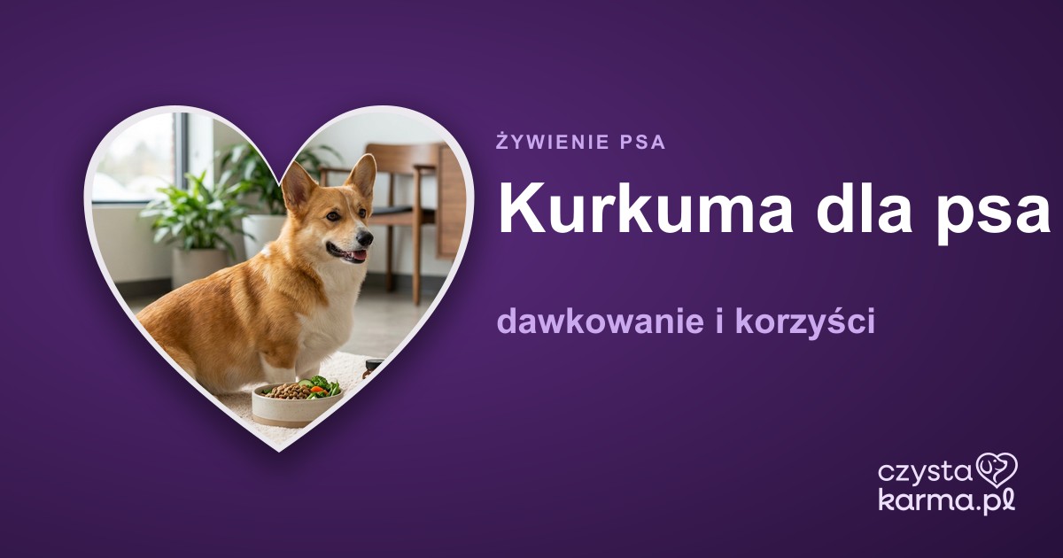 Kurkuma dla psa — dawkowanie i korzyści