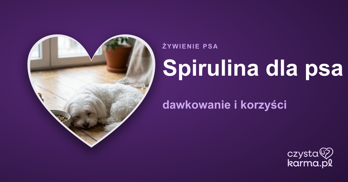 Spirulina dla psa — dawkowanie i korzyści