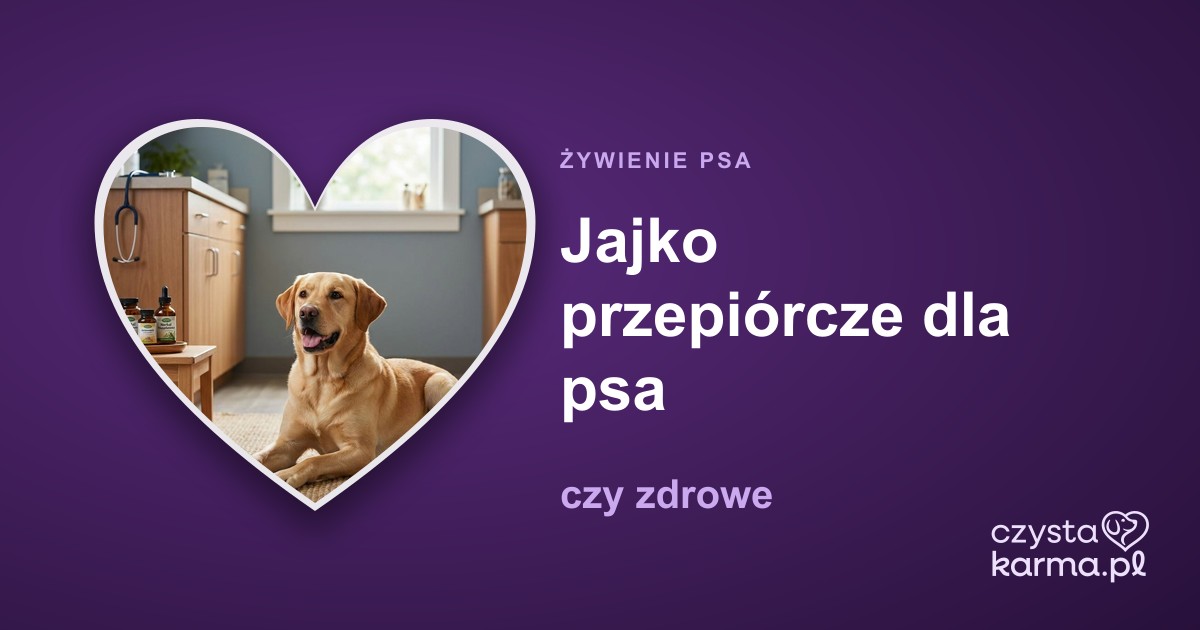 Jajko przepiórcze dla psa — czy zdrowe