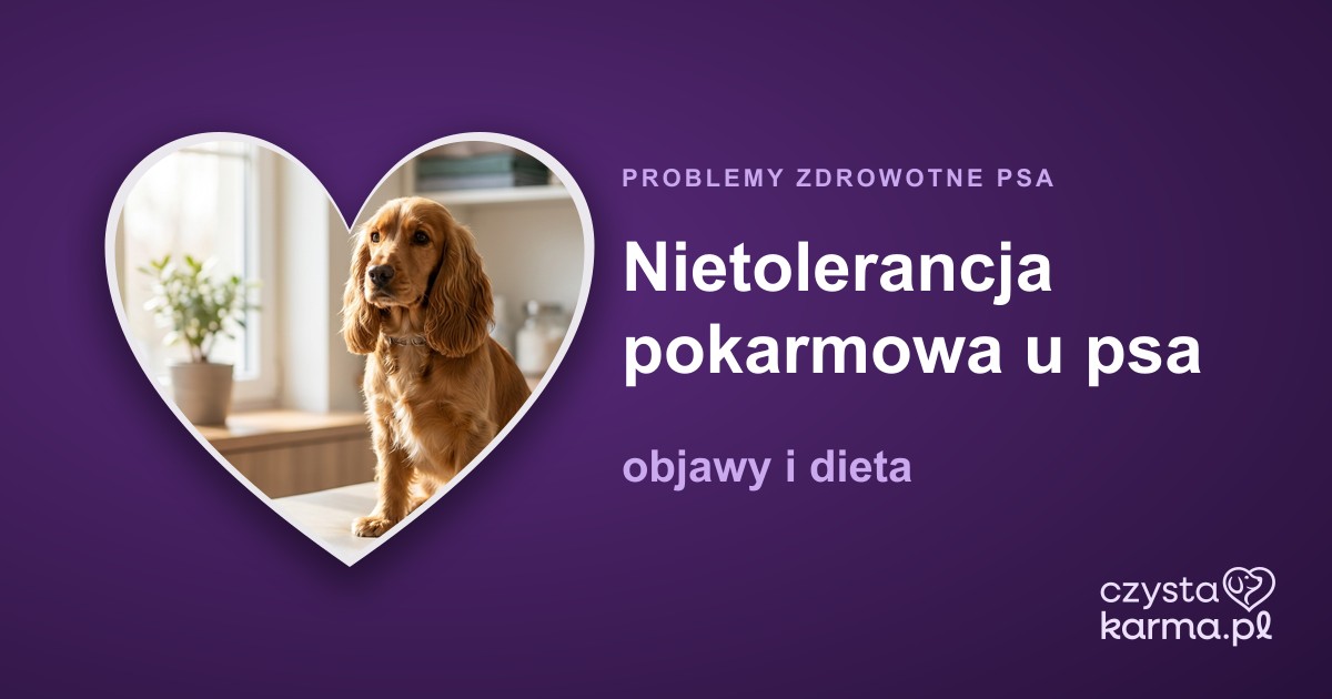 Nietolerancja pokarmowa u psa — objawy i dieta