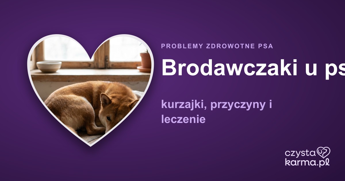 Brodawczaki u psa — kurzajki, przyczyny i leczenie
