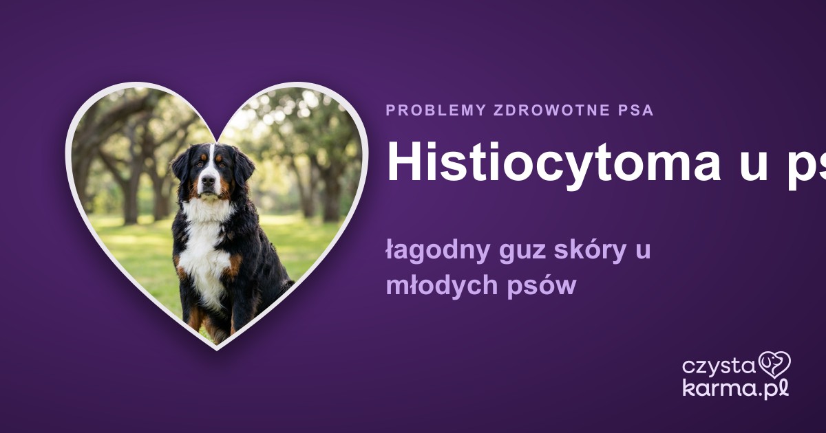 Histiocytoma u psa — łagodny guz skóry u młodych psów