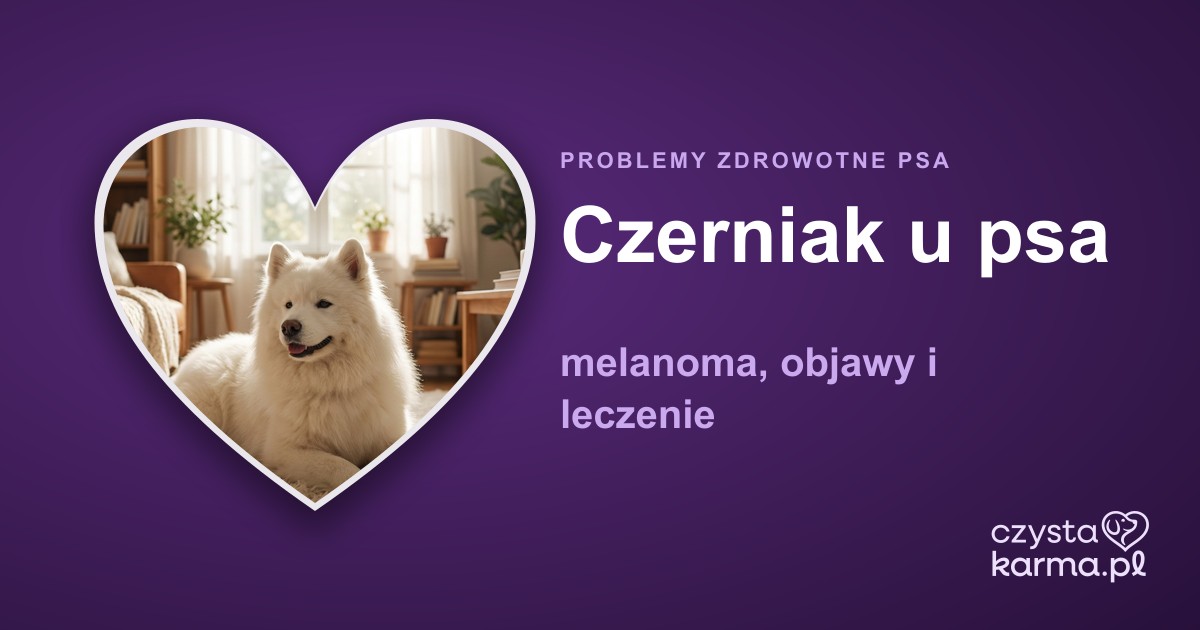 Czerniak u psa — melanoma, objawy i leczenie