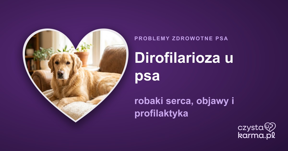 Dirofilarioza u psa — robaki serca, objawy i profilaktyka
