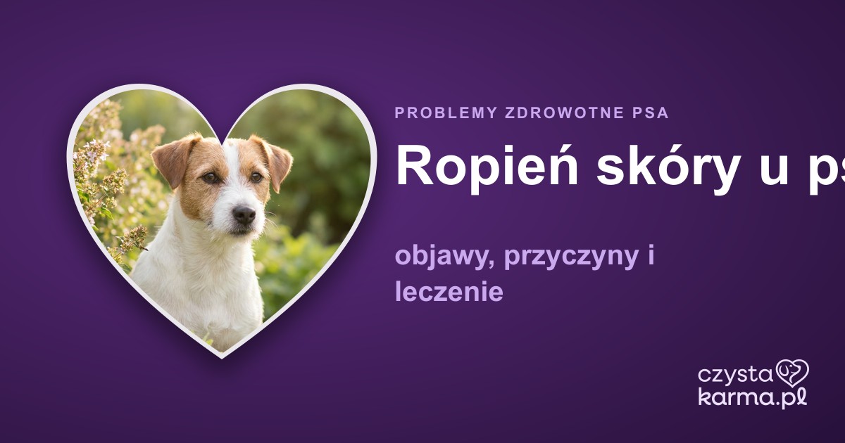 Ropień skóry u psa — objawy, przyczyny i leczenie