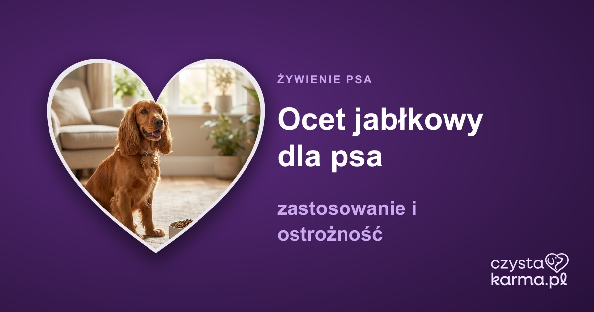 Ocet jabłkowy dla psa — zastosowanie i ostrożność
