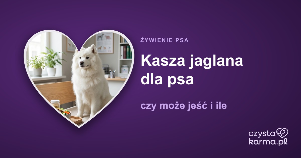 Kasza jaglana dla psa — czy może jeść i ile
