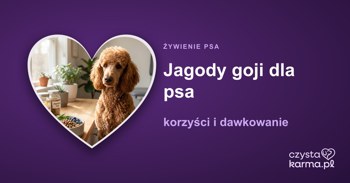 Jagody goji dla psa — korzyści i dawkowanie