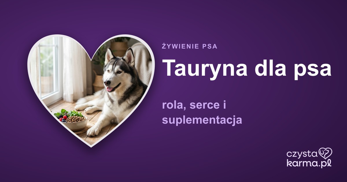 Tauryna dla psa — rola, serce i suplementacja