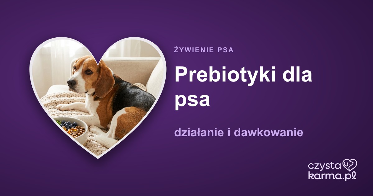 Prebiotyki (inulina) dla psa — działanie i dawkowanie