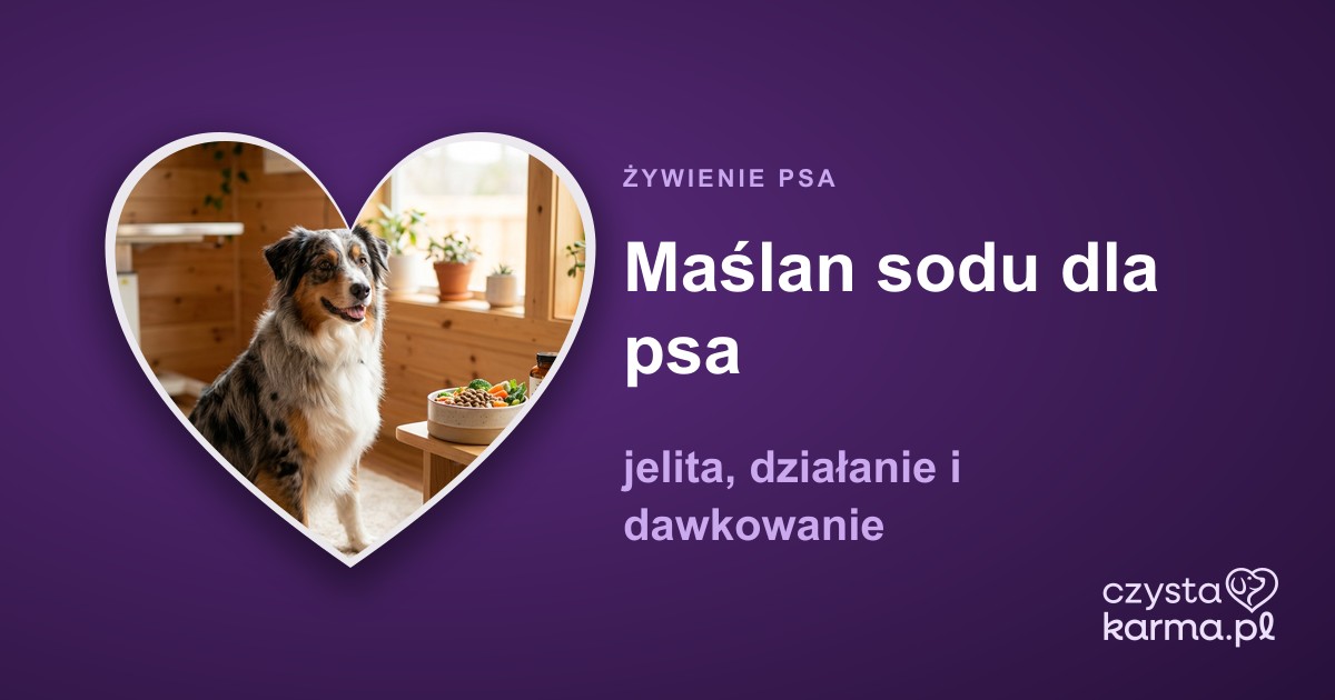 Maślan sodu dla psa — jelita, działanie i dawkowanie