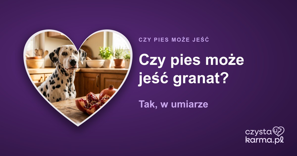 Czy pies może jeść granat? Tak, w umiarze
