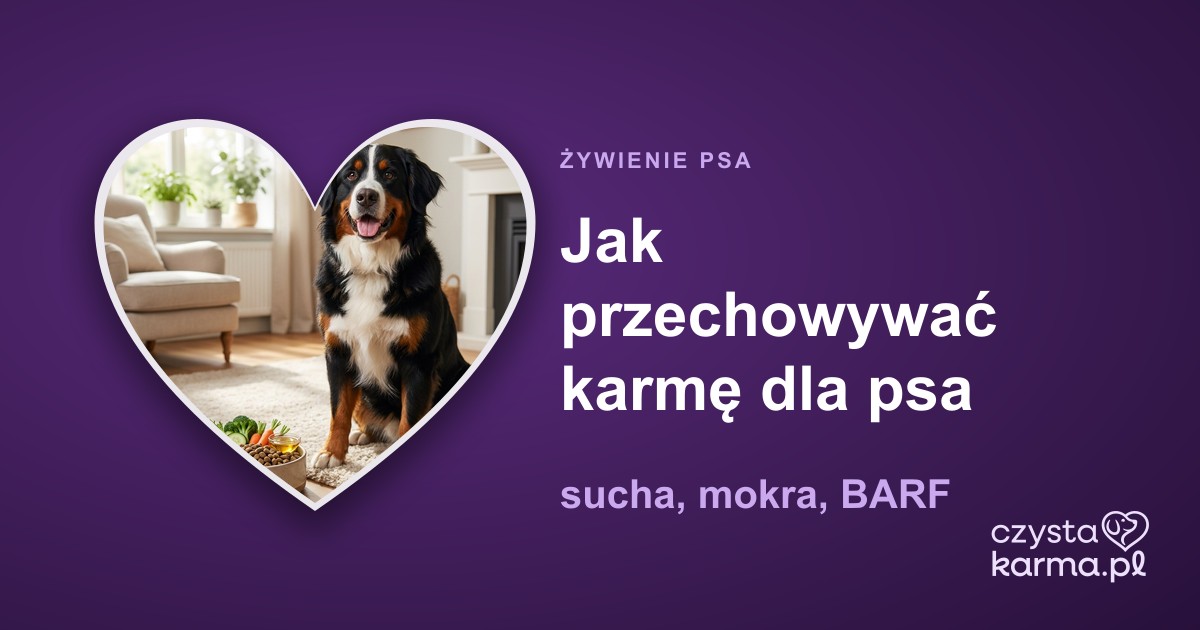 Jak przechowywać karmę dla psa — sucha, mokra, BARF