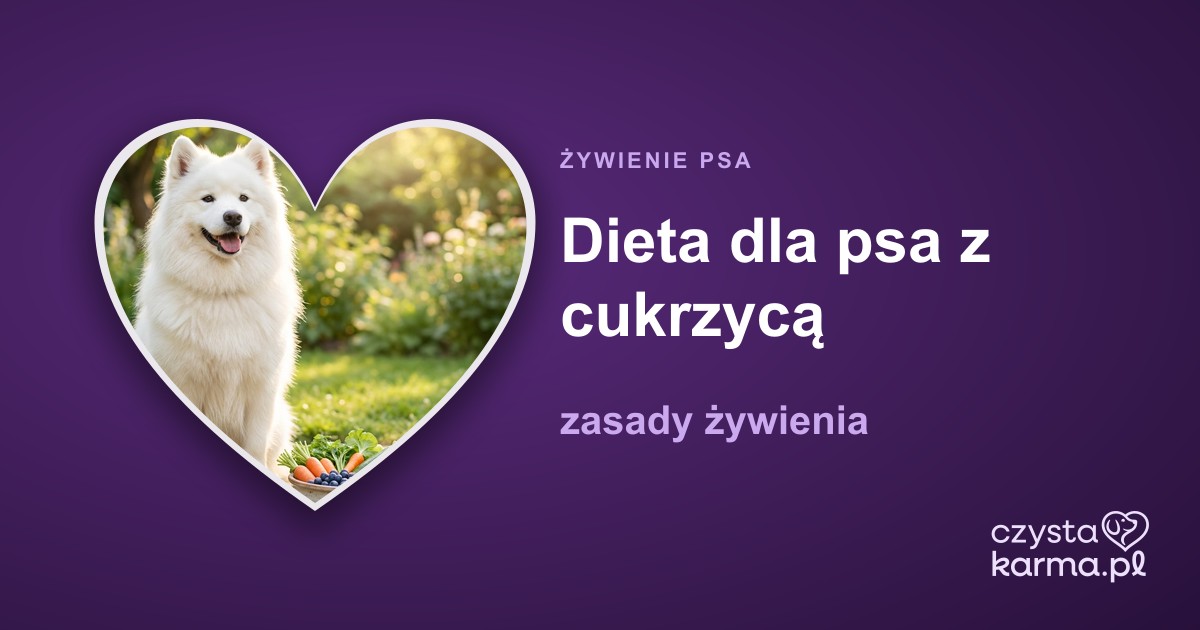 Dieta dla psa z cukrzycą — zasady żywienia