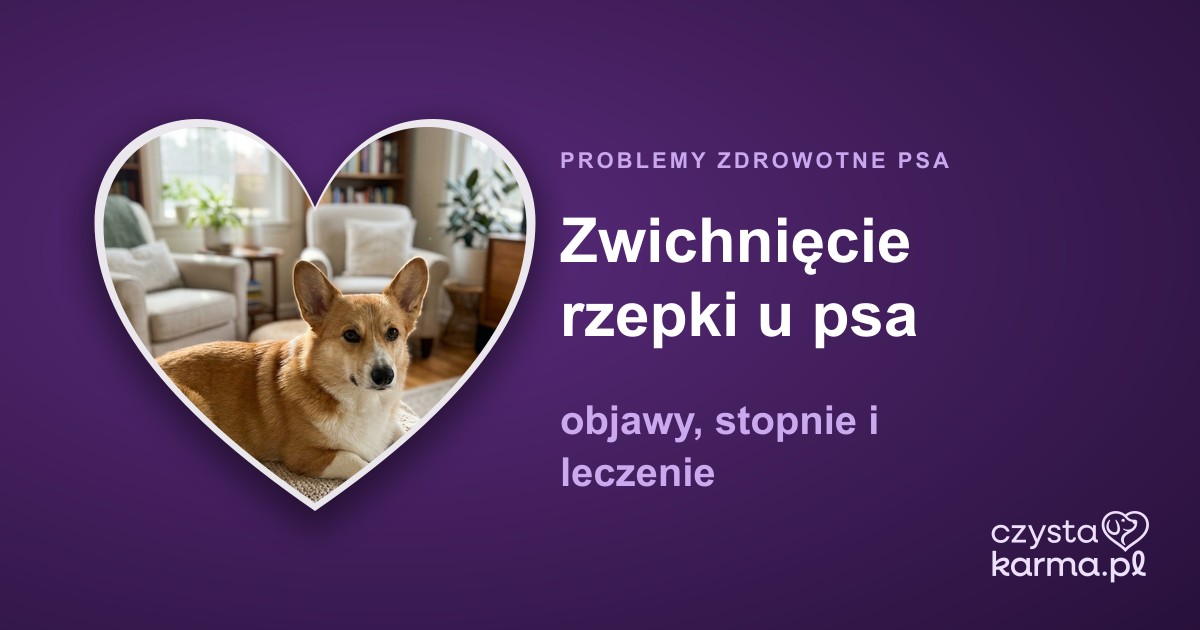 Zwichnięcie rzepki u psa (luxatio patellae) — objawy, stopnie i leczenie