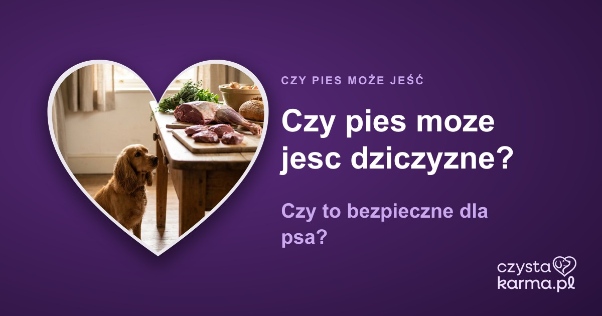 Czy pies moze jesc dziczyzne?