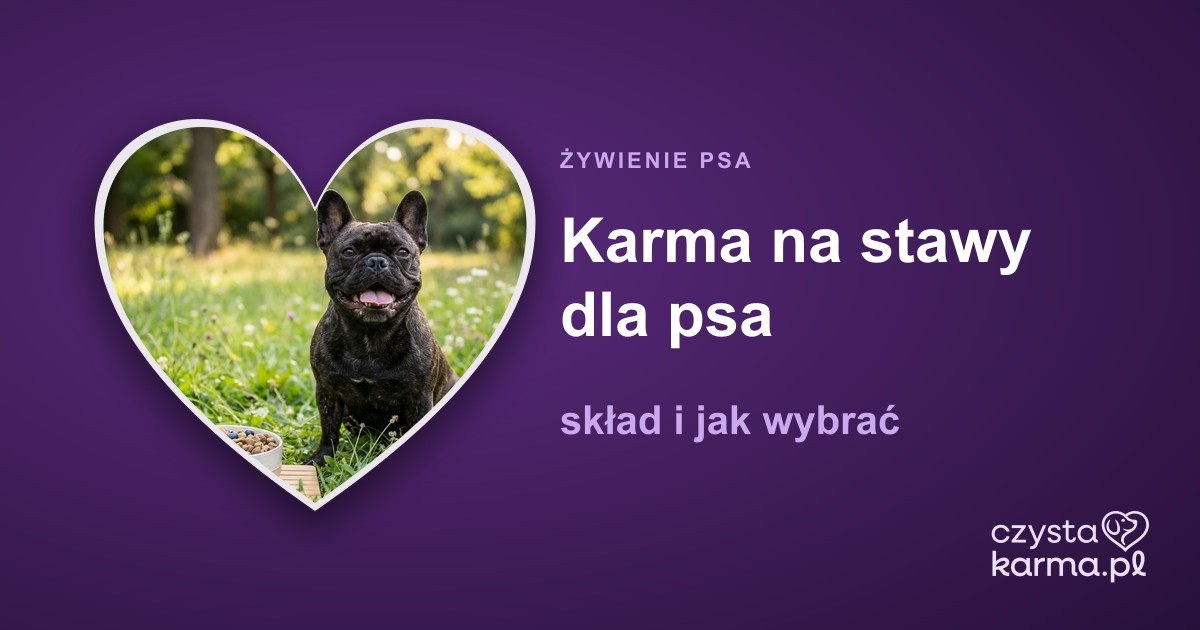 Karma na stawy dla psa — skład i jak wybrać