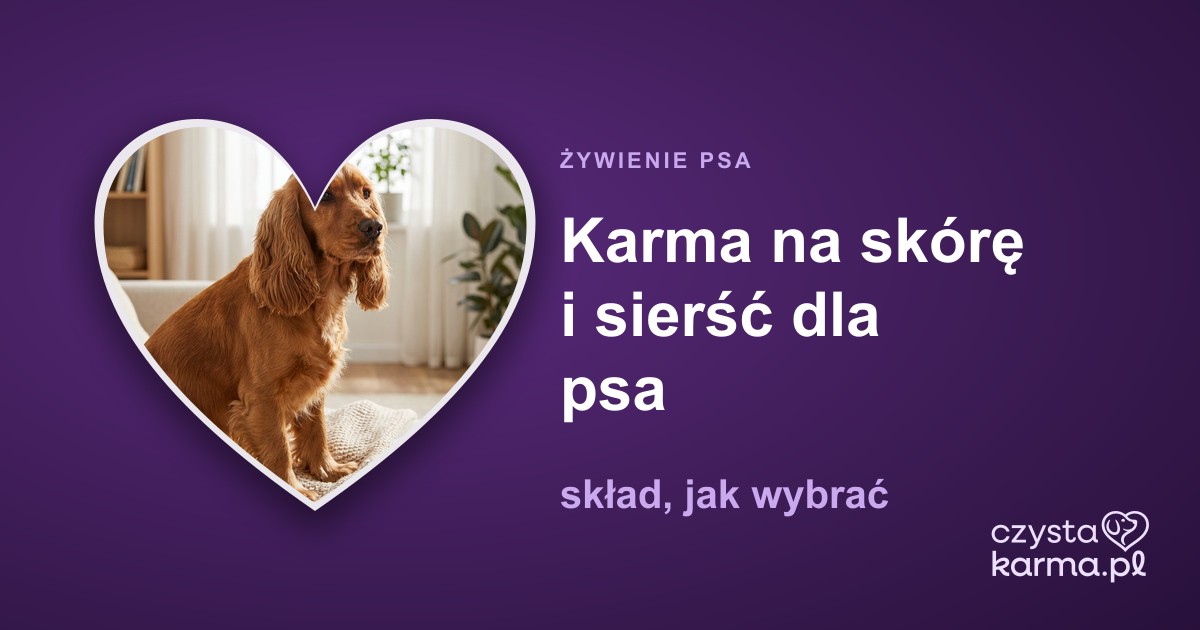 Karma na skórę i sierść dla psa — skład, jak wybrać