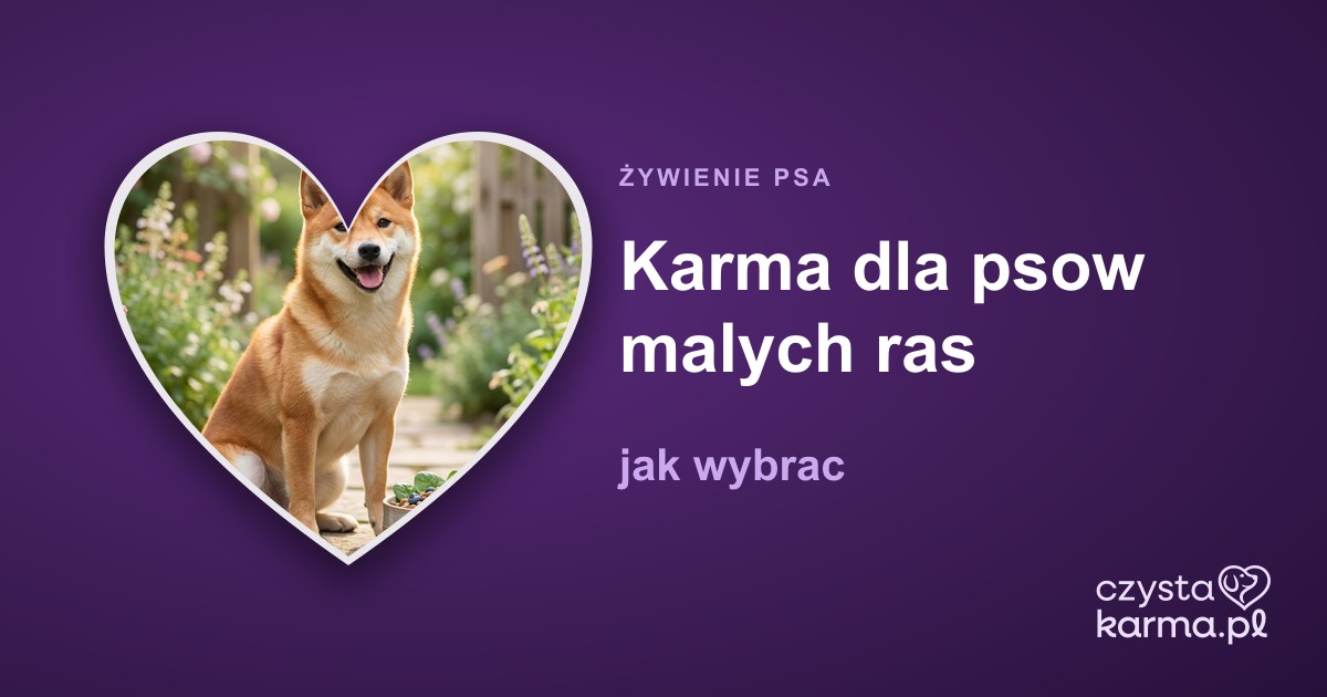 Karma dla psow malych ras - jak wybrac