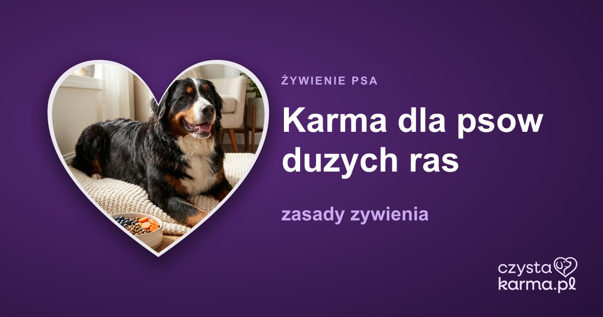 Karma dla psow duzych ras - zasady zywienia