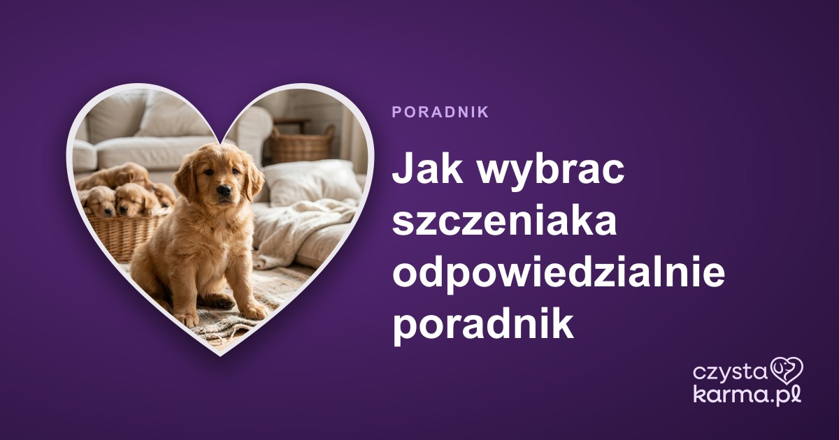 Jak wybrac szczeniaka odpowiedzialnie poradnik