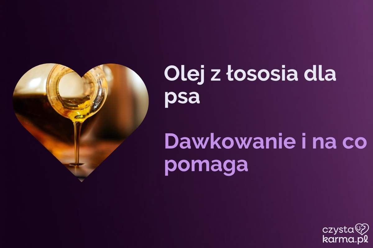 Olej z łososia wlewany do miski z karmą dla psa, pies czeka obok